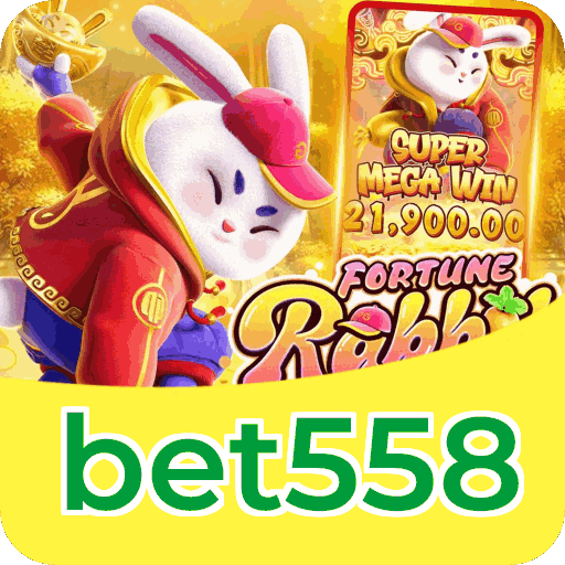 Suporte bet558